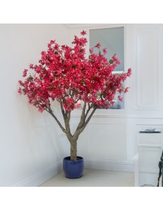 Árbol BUGANVILLA 180cm