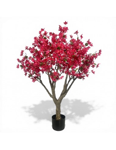 Árbol BUGANVILLA 180cm