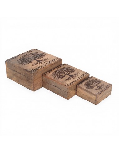 Set 3 cajas ARBOL