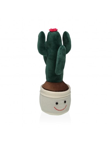 Sujetapuertas CACTUS