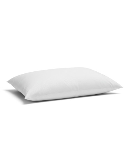 Pack 2 almohadas HUELVA 75 cm