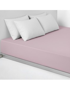 Bajera CDE - Lavanda