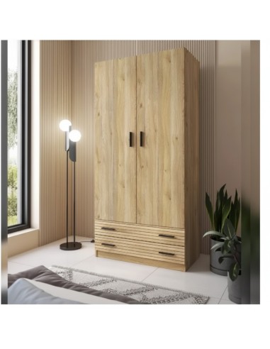 Armario RAPID 2P/2C