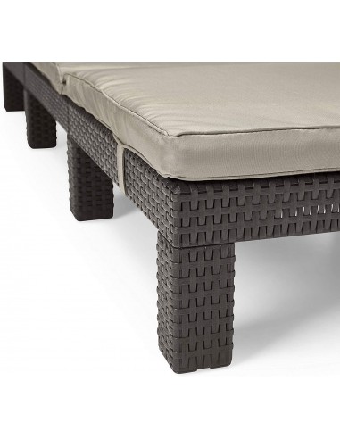 Tumbona DAYTONA SUNLOUNGER marrón