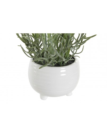 Planta DOLOMITE