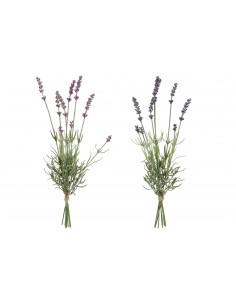 Planta LAVANDA