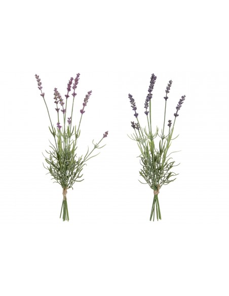 Planta LAVANDA