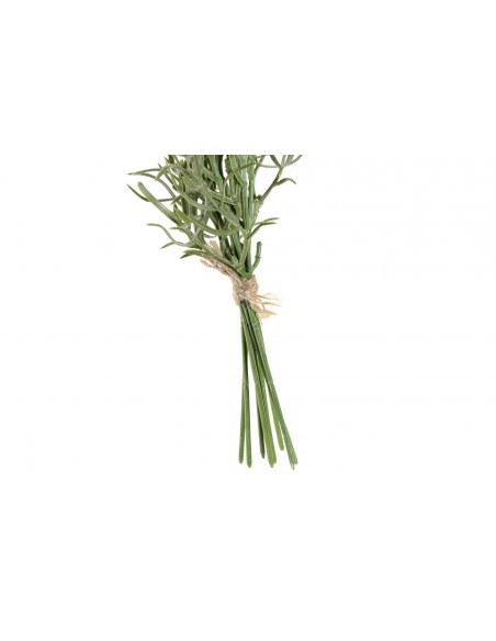 Planta LAVANDA