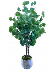 Árbol EUCALIPTO 100 cm
