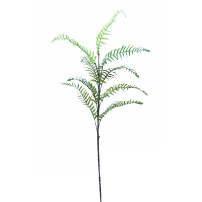 Boston SILVESTRE 110 cm