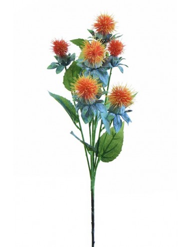 Carthamus 80 cm na