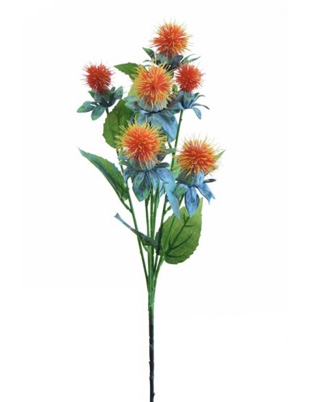 Carthamus 80 cm na