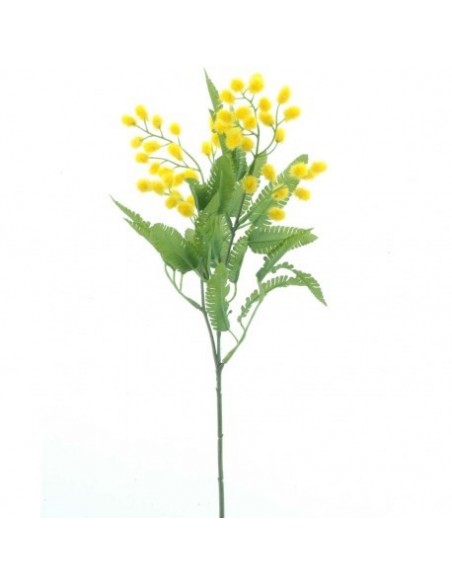 Mimosa 65 cm