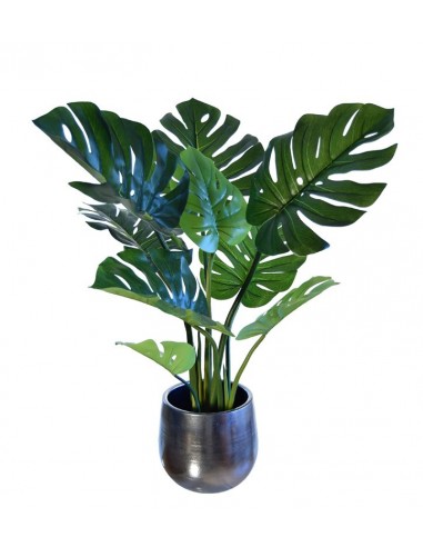 Philo DENDRO 90 cm