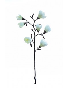 Rama MAGNOLIAS cr